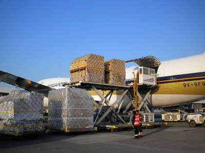 Alpaca Export Image: Shipment to Brussels 29th of January 2011