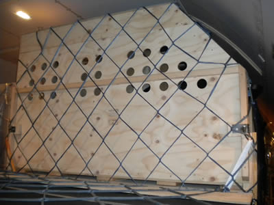 Image of Alpaca Export: Shipment from Auckland to London (UK) in July 2012 Alpaca Export Image