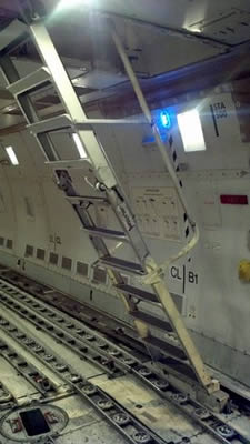 Image of Alpaca Export: Boeing 747 cargo hold before loading alpacas for a November 2012 shipment Alpaca Export Image