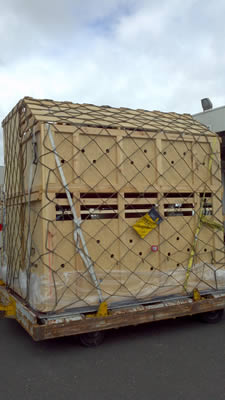 Image of Alpaca Export: Shipment from Melbourne to Auckland (NZ) in September 2012 Alpaca Export Image